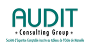 Audit Consuting Group